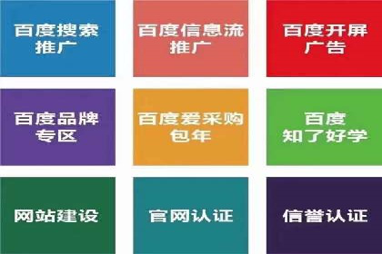 金融行业SEM服务的创新应用与效果